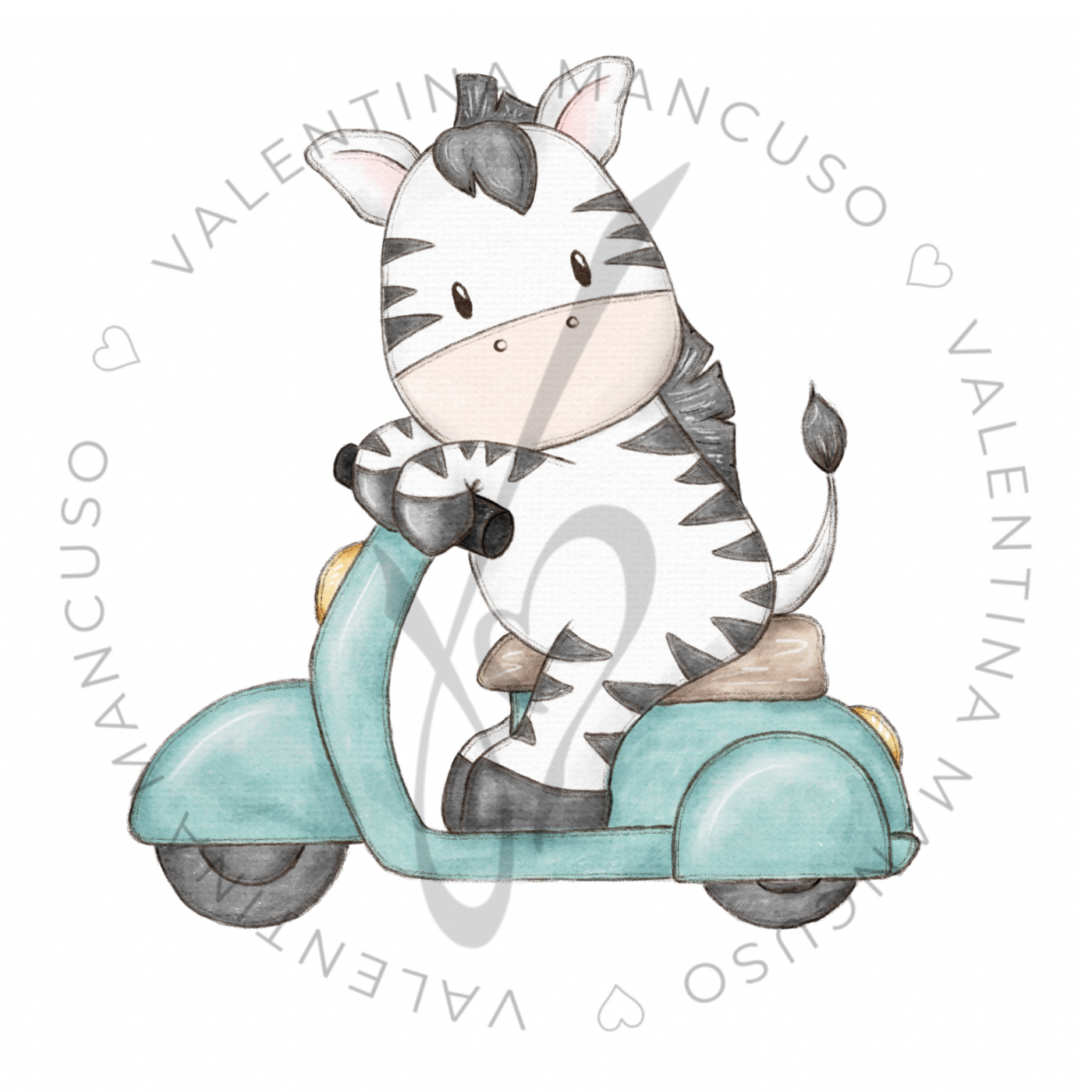 Zebra