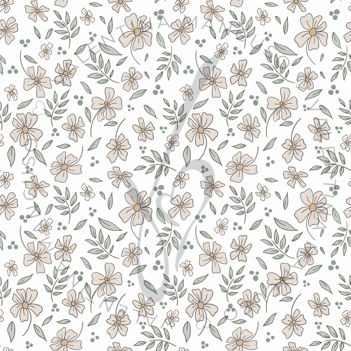 Cotone <br> Douce Classic